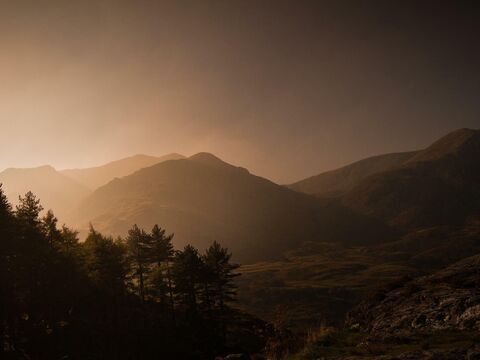 A stylised photograph of the Welsh mountains, dark and brooding with golden light and woodland in the foreground.